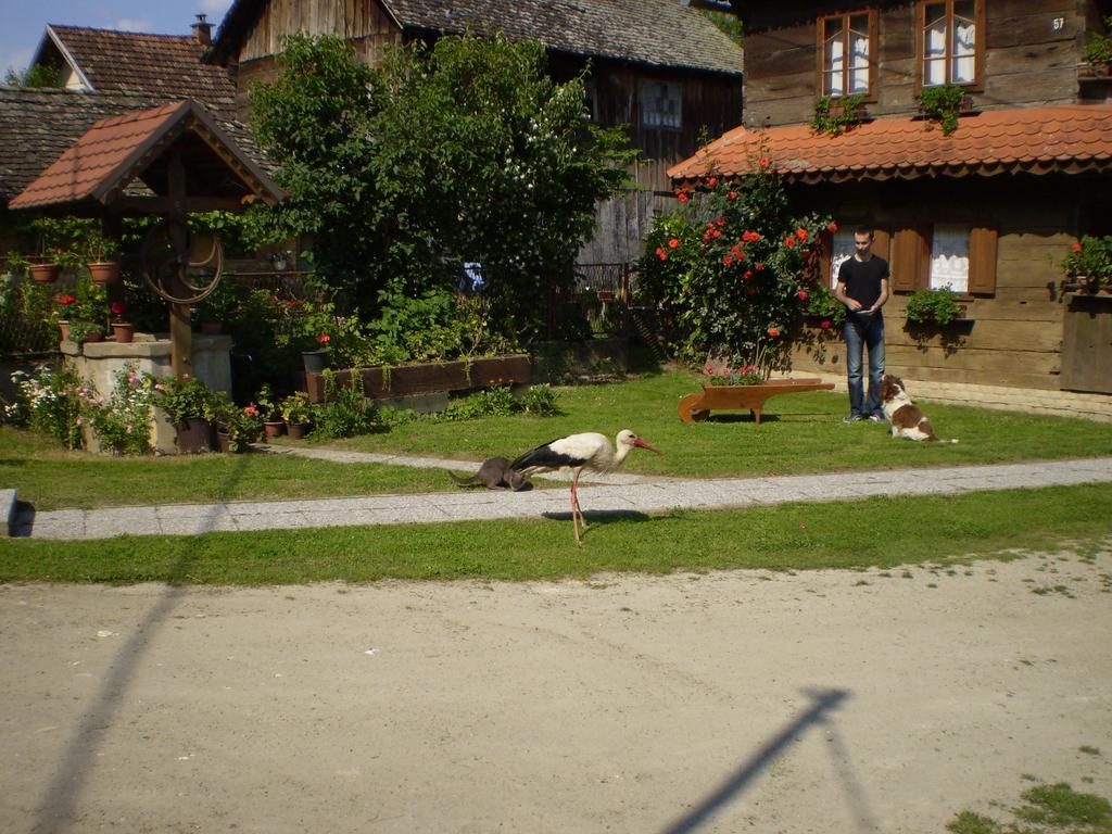 Apartments Iza Na Trem Čigoč Eksteriør billede