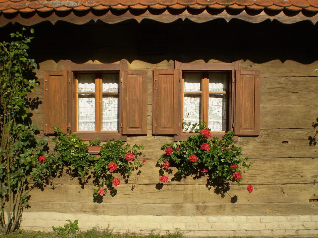 Apartments Iza Na Trem Čigoč Eksteriør billede